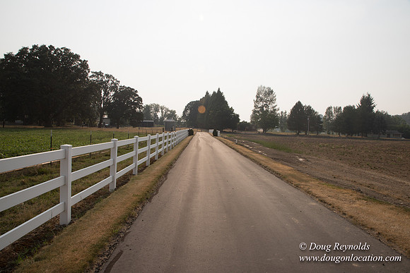 Stan's Driveway