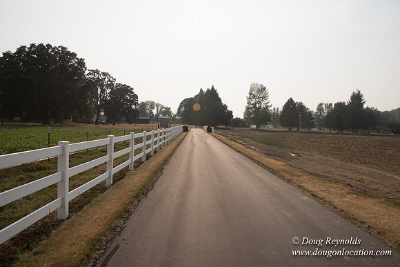 Stan's Driveway