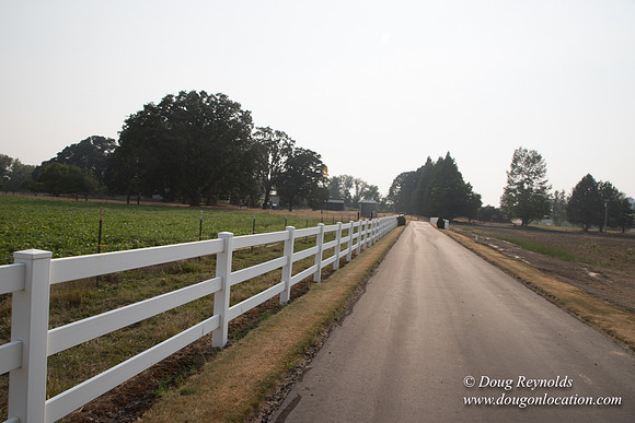 Stan's Driveway