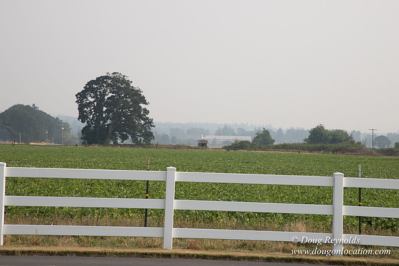 Stan's Driveway