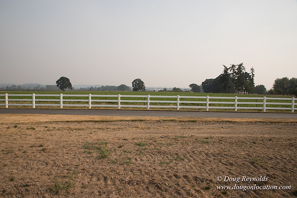 Stan's Driveway