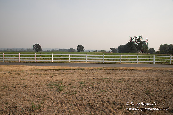 Stan's Driveway