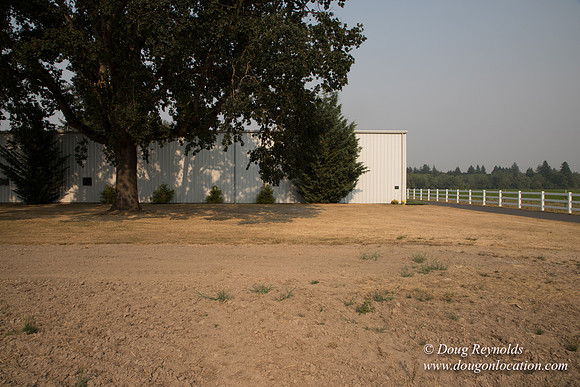 Stan's Driveway