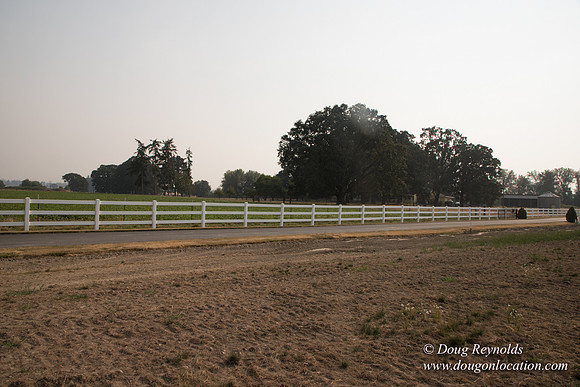 Stan's Driveway