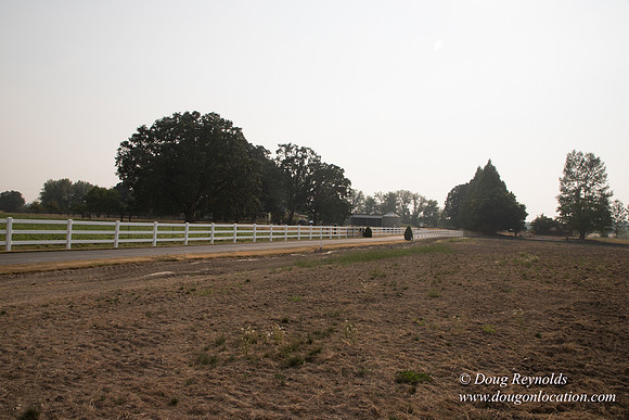 Stan's Driveway