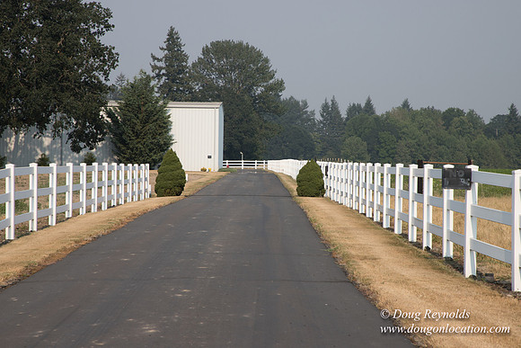 Stan's Driveway
