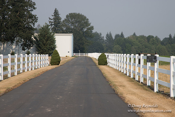 Stan's Driveway