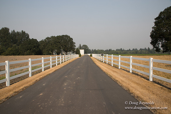 Stan's Driveway