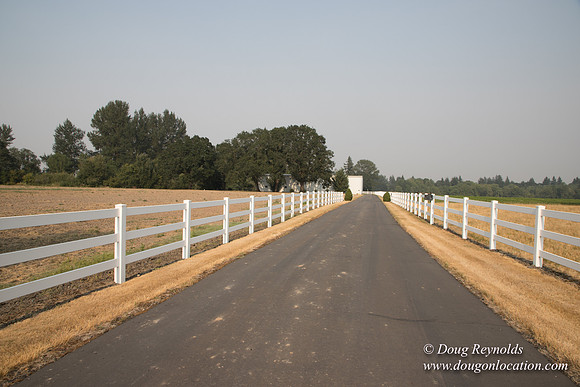 Stan's Driveway