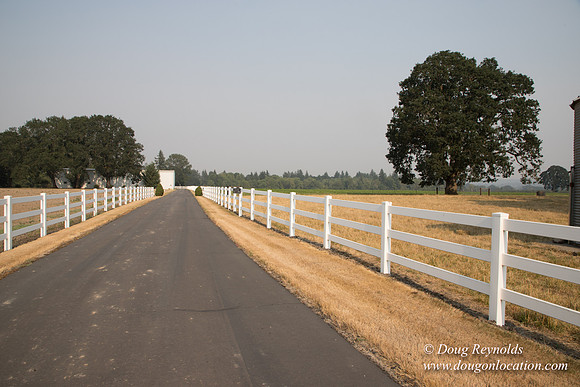 Stan's Driveway