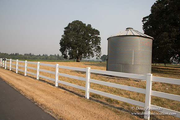 Stan's Driveway
