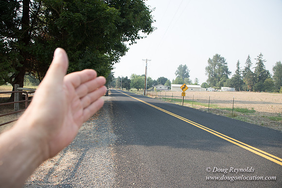 Stan's Driveway