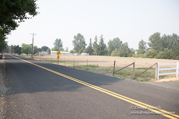Stan's Driveway