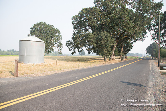 Stan's Driveway
