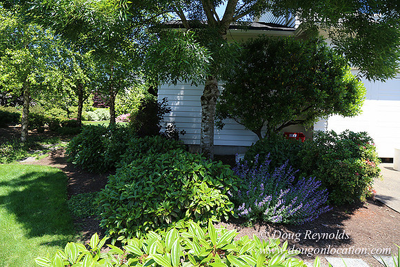 Scotts House-5359