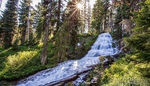 Umbrella Falls