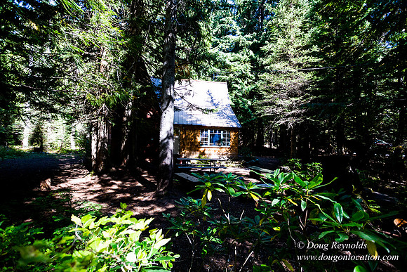 Karri's Cabin