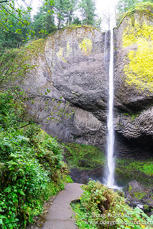 SNog Productions Sony 2016 Oregon