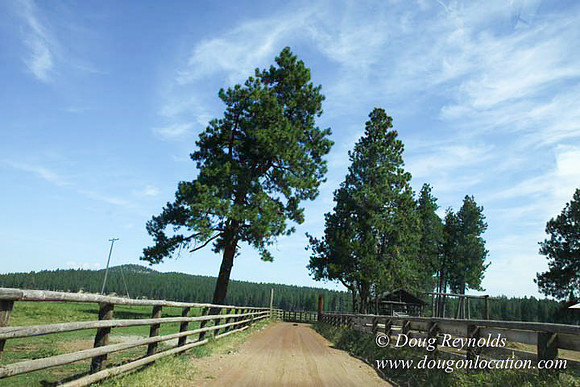 2500 Acres of green fields Creeks water crossing Bridges on a Large Lake and miles of Dirt roads Oak trees Forest land ATV Trails cows