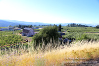 Hwy 35 at Hwy 282-8631
