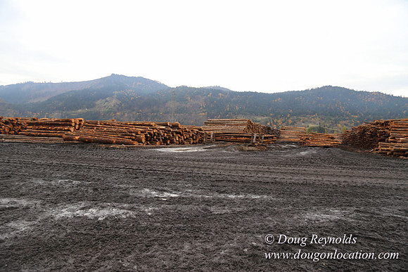 SDS Lumber-1453