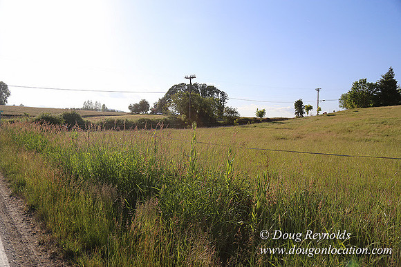 Moores Rd 1-7001