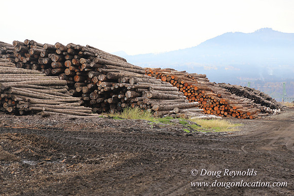 SDS Lumber-1420