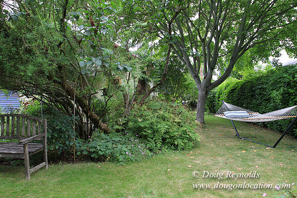 Laura’s Home This is a Portland Bungalow Style small home with a average sized and interesting back yard, nice garden with bee hive’s