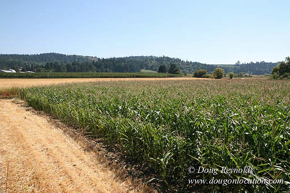 Farm 4 has Barns Shops they grow Wheat and Corn.  in the Portland Zone