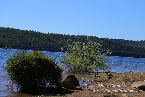 Clear Lake-3428