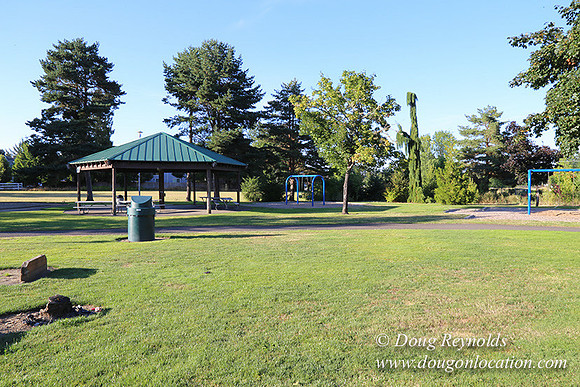 Lincoln Park-0661