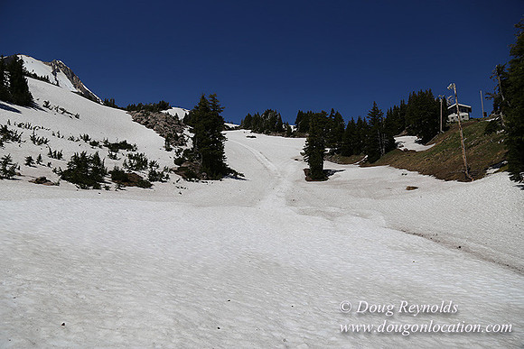Medow's Snow-5683