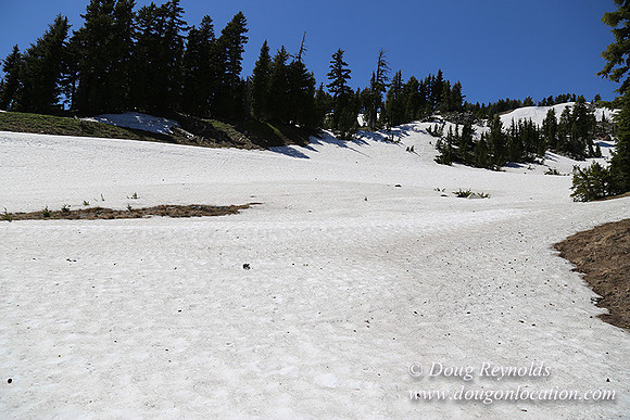 Medow's Snow-5729