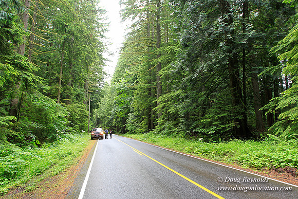 Larch Mt Rd