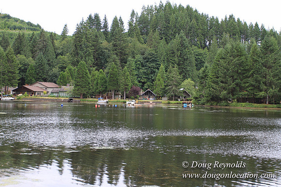 Cabin, Dock, Green, Home, House, Lake, ORBoat, Oregon, "Sky's Lake House", Yard, deck