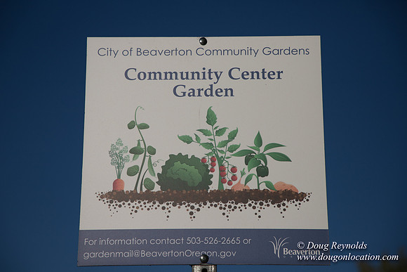 Beaverton C Garden-3933