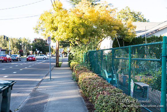 Beaverton C Garden-3935