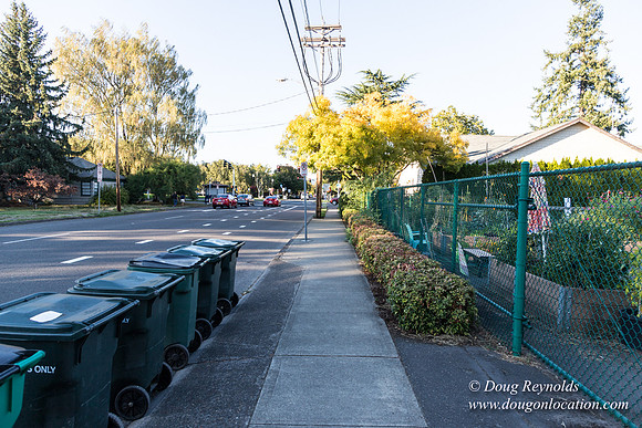 Beaverton C Garden-3938