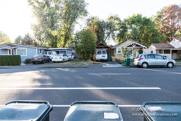 Beaverton C Garden-3940