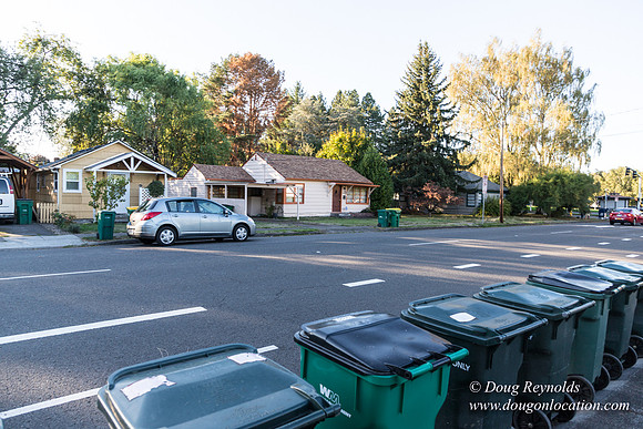Beaverton C Garden-3941
