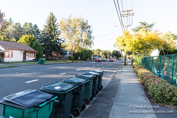 Beaverton C Garden-3942