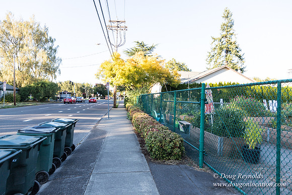 Beaverton C Garden-3943