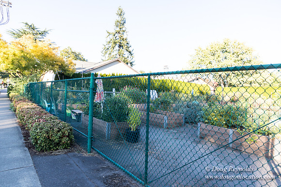 Beaverton C Garden-3944