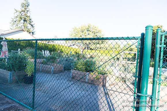 Beaverton C Garden-3945