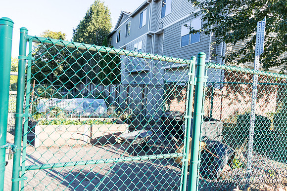 Beaverton C Garden-3947