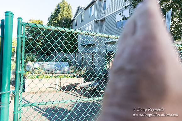 Beaverton C Garden-3948