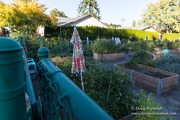 Beaverton C Garden-3951