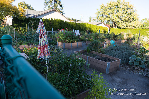Beaverton C Garden-3952