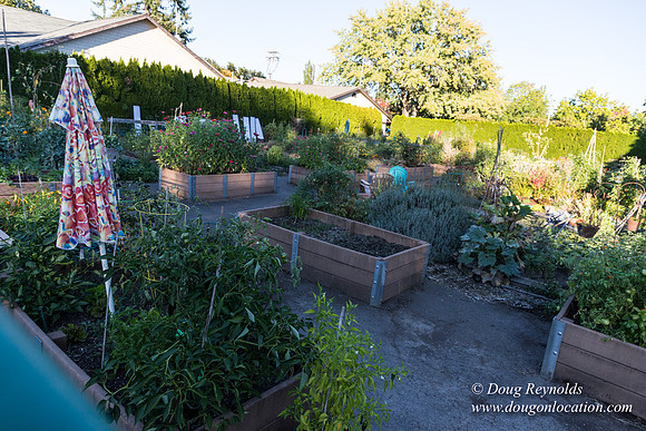 Beaverton C Garden-3953