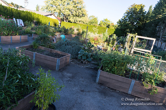 Beaverton C Garden-3955